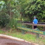 Buderim to Palmwoods Tramway