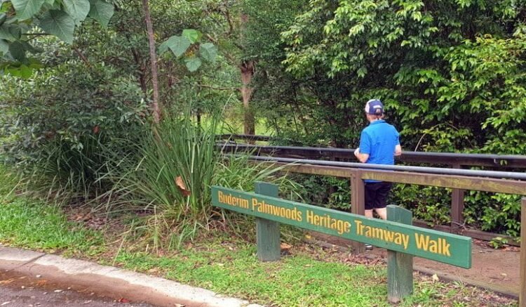 Buderim to Palmwoods Tramway