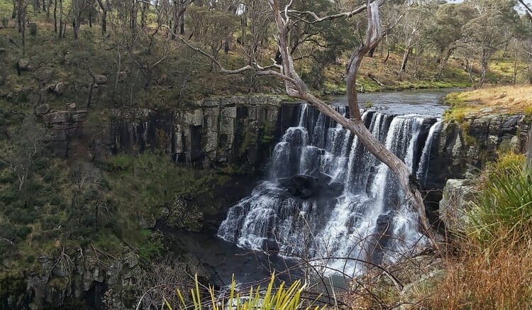 Ebor Falls near Armidale NSW