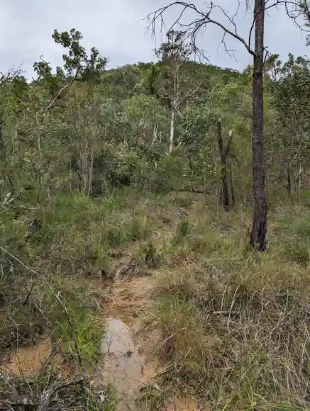 Mount-Miketeebumulgrai - Entrance Trail